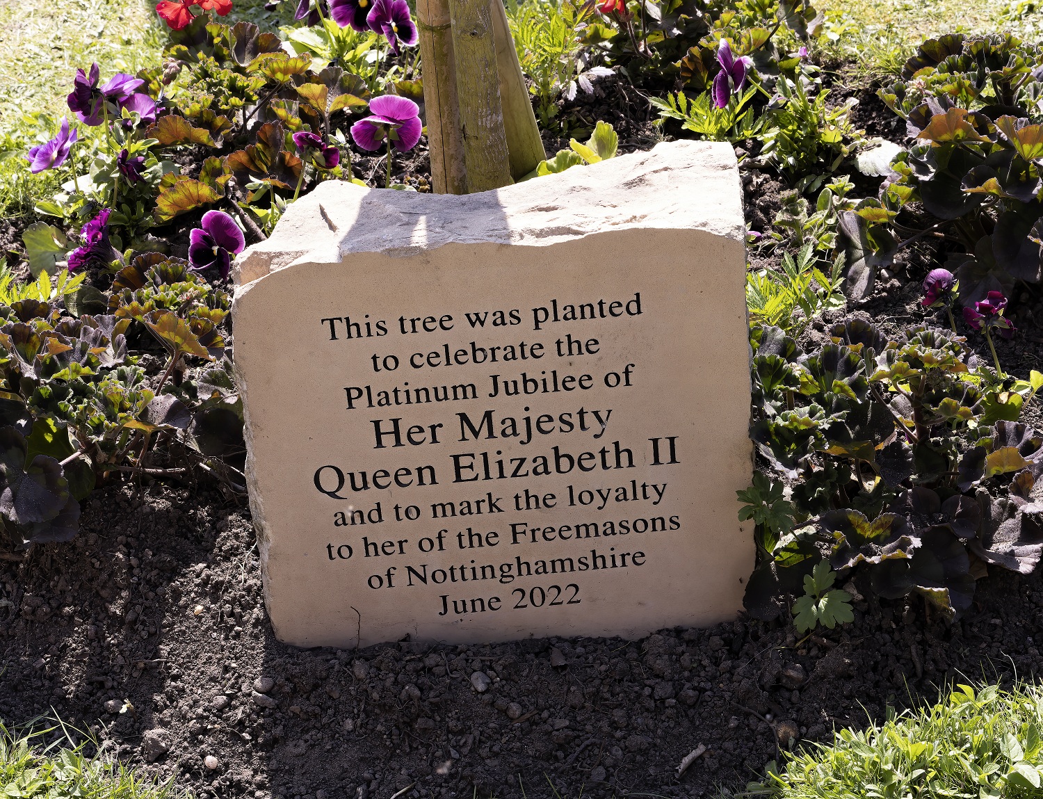The tree planted in recognition of Queen Elizabeth II