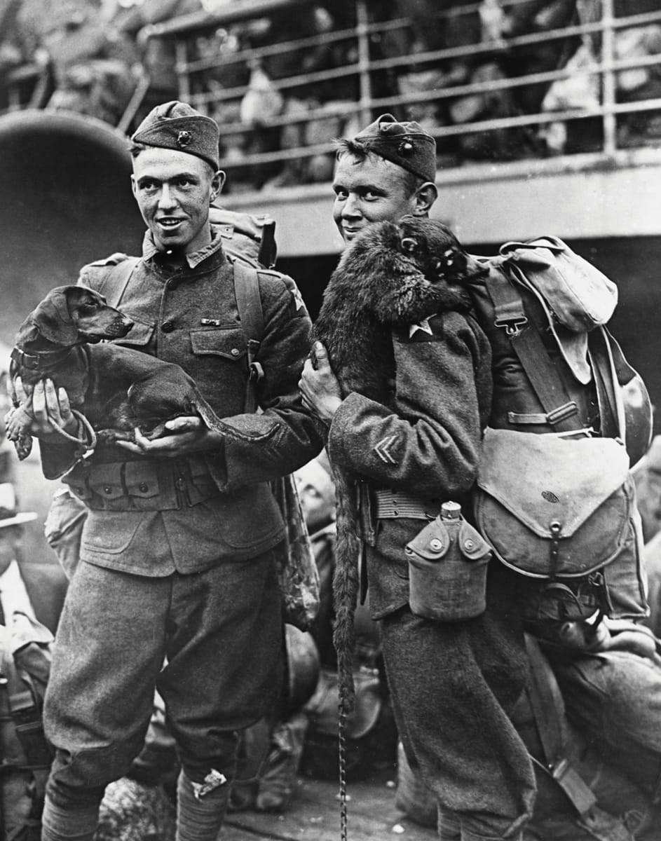 American Soldiers with their Pets