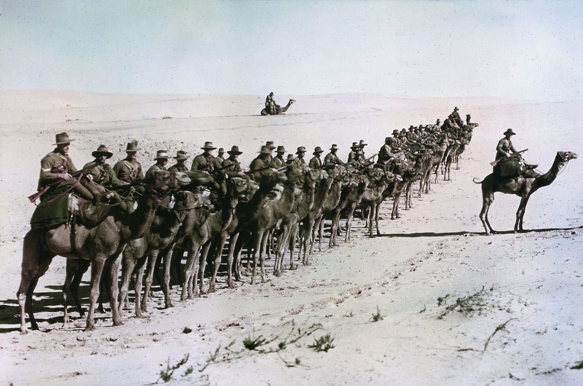 The Imperial Camel Corps, 26 January 1918