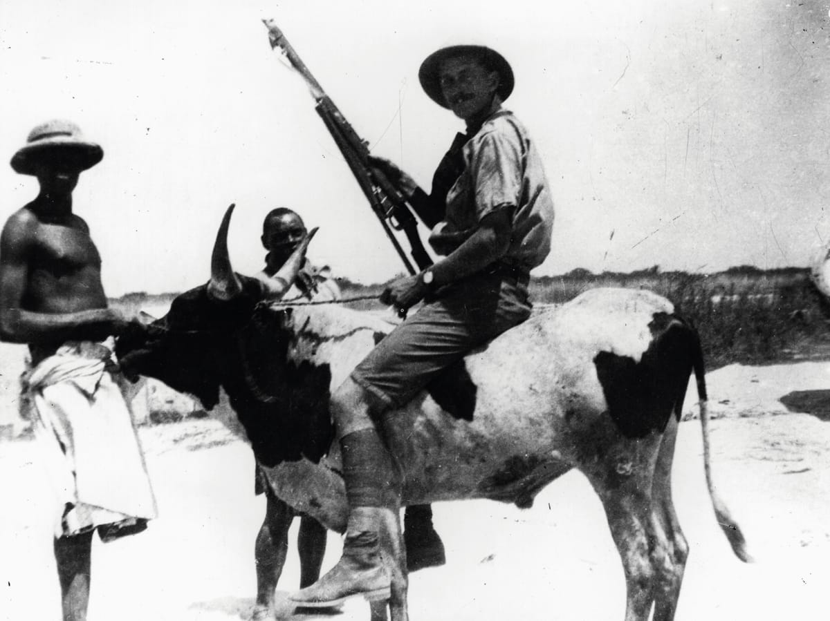 British Soldier in Africa on Cow