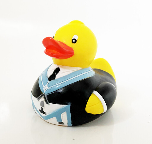 Freemason Duck