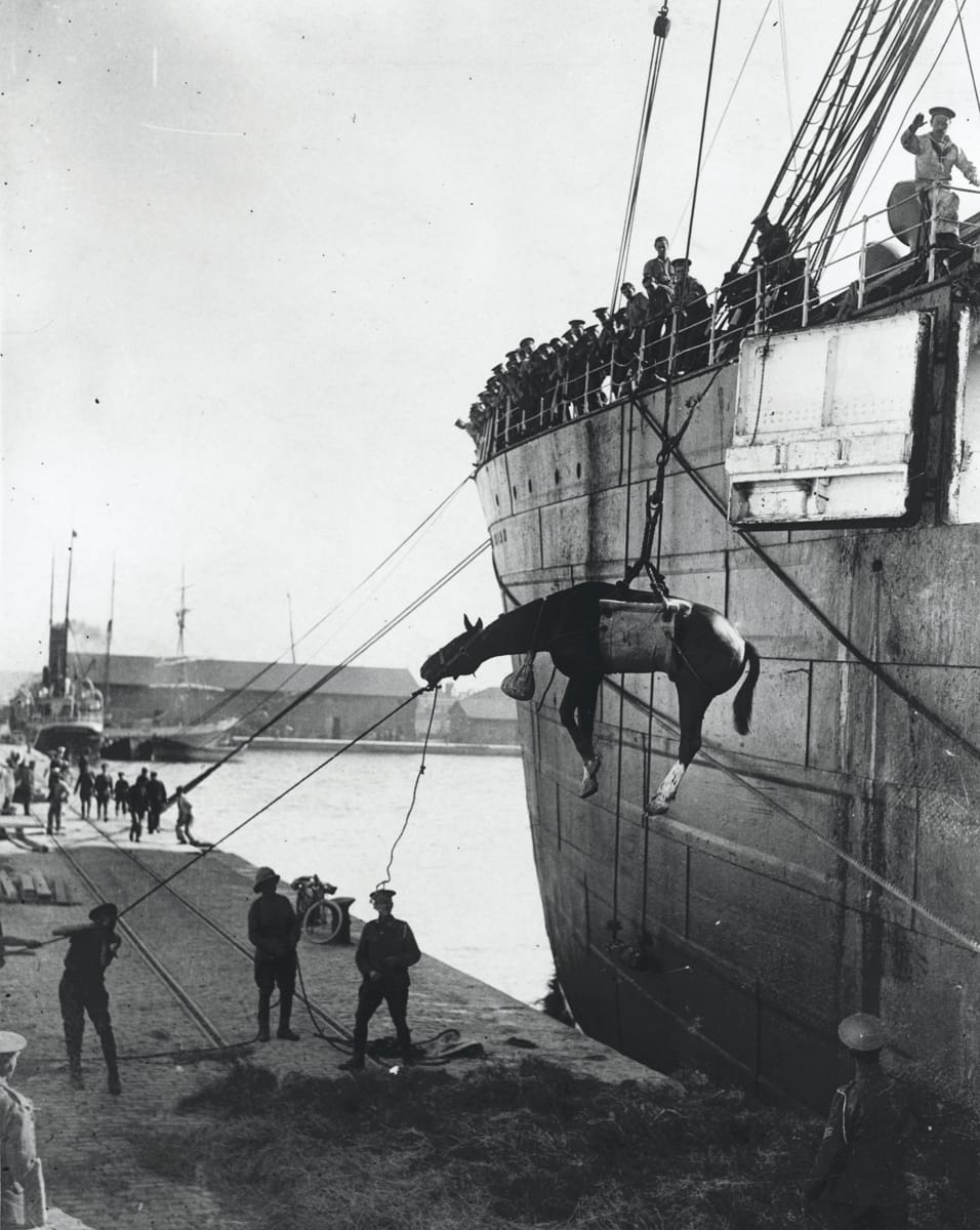 A horse is landed from a British military transport ship in Boulogne, France, c.1915