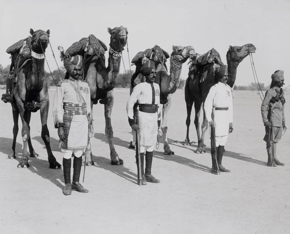 The Imperial Camel Corps