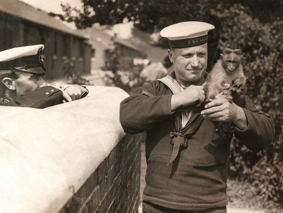 Monkey Mascot belonging to a sailor on the HMS Ganges