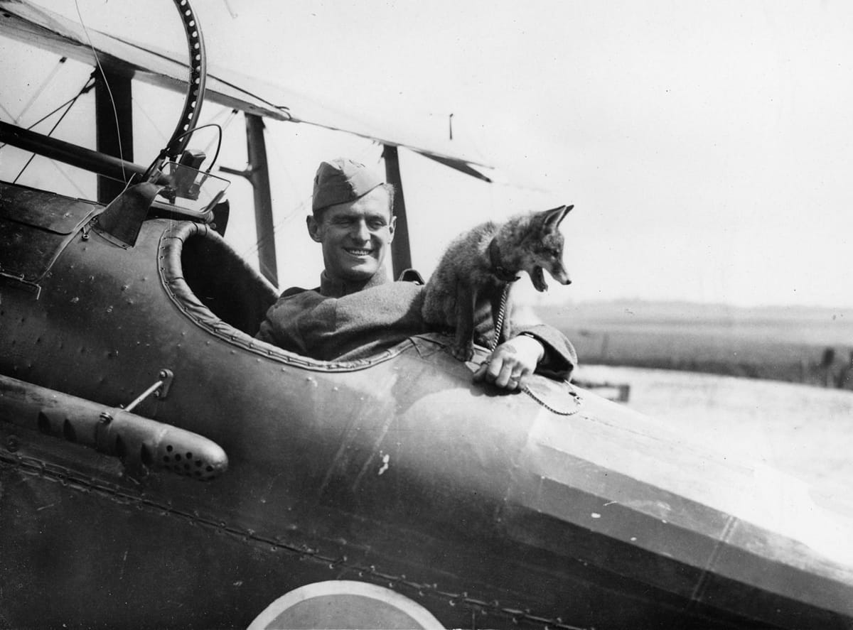 American Pilot with Fox Mascot