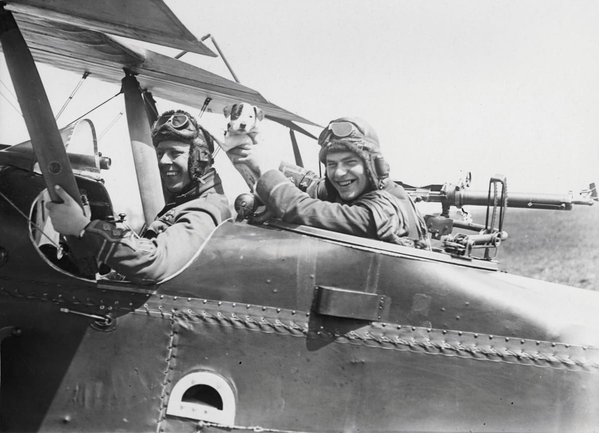 British pilot’s mascot, c.1916