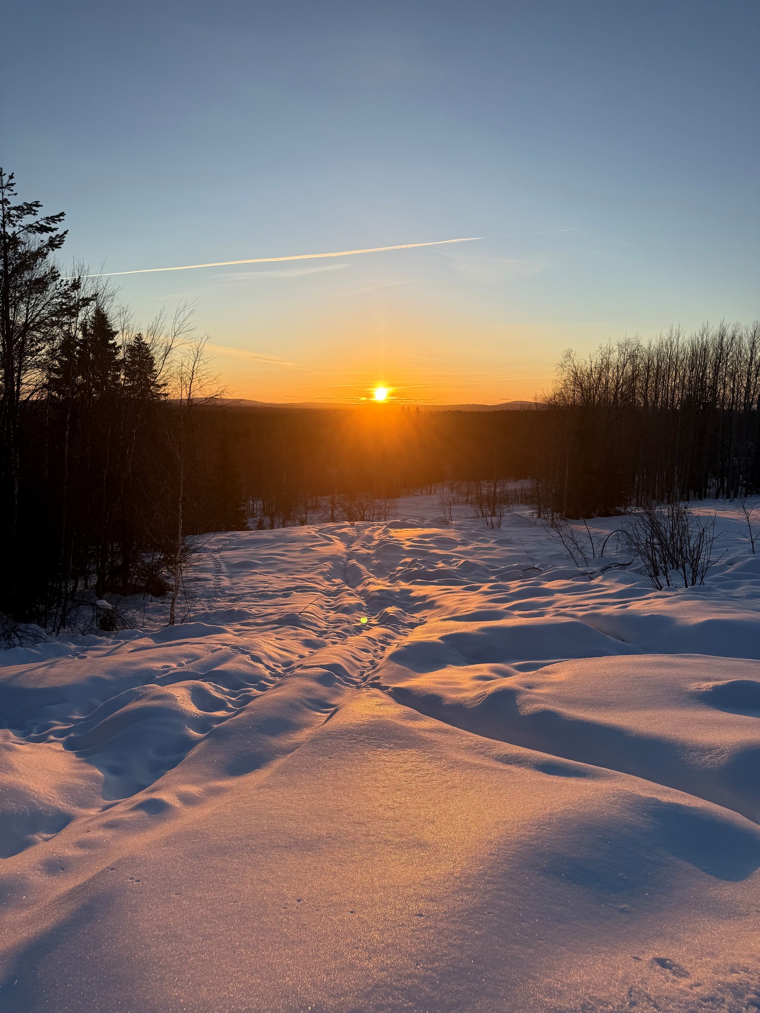 sunset