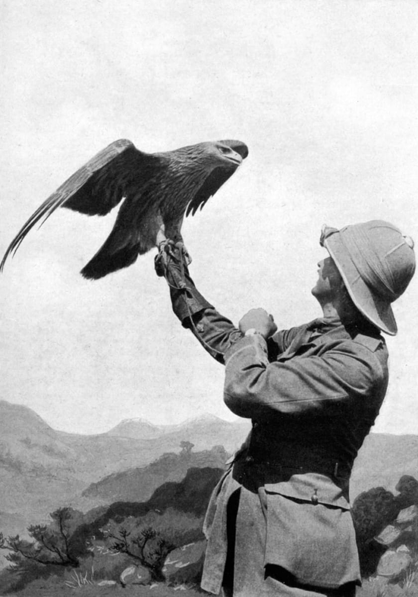 British officer with trained eagle in Salonica, Greece, c.1918