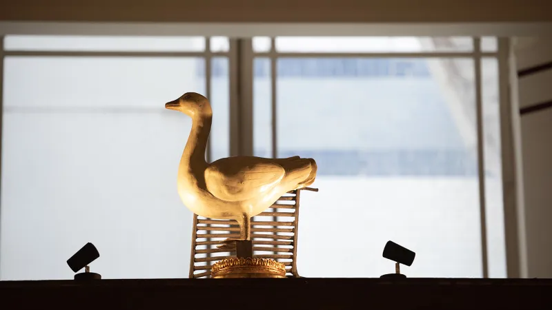 Goose