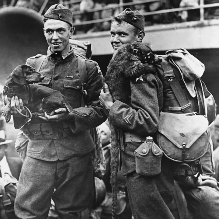 American Soldiers with their Pets