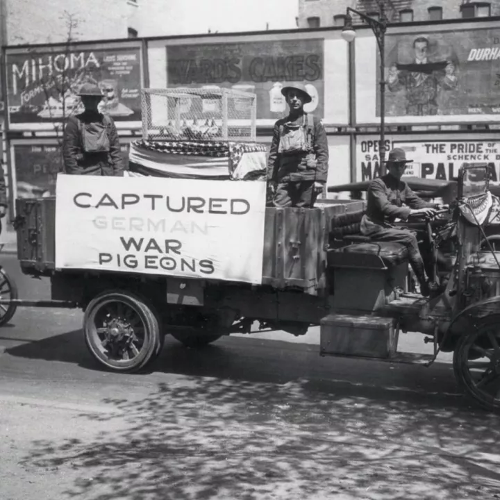 US soldiers stand on a float during a Victory Parade in New York City, holding cages of “Captured German War Pigeons,” May 1919