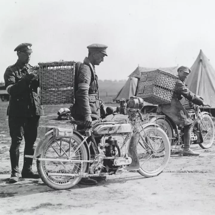 British army bikers taking carrier pigeons to the front line, c.1915