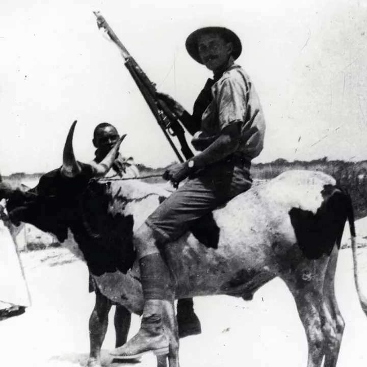 British Soldier in Africa on Cow