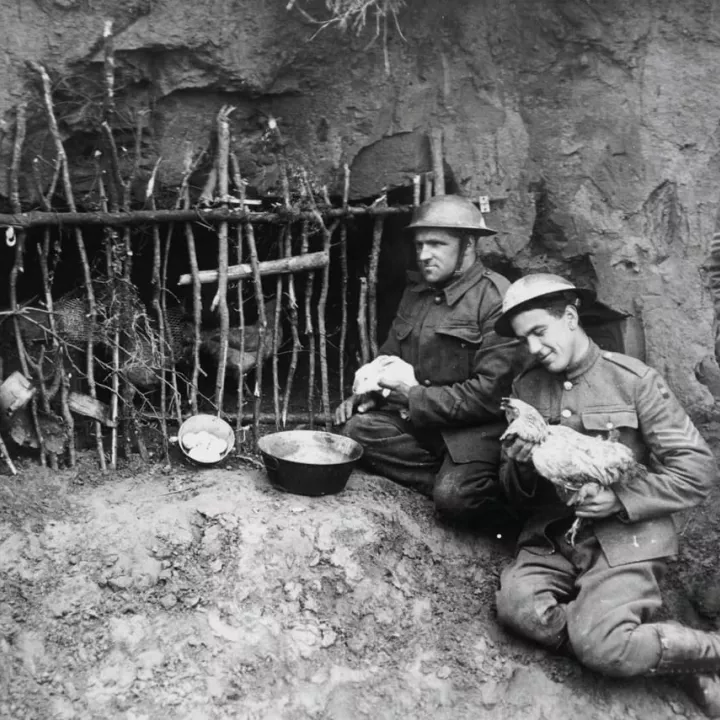 Chicken Coop in Trench