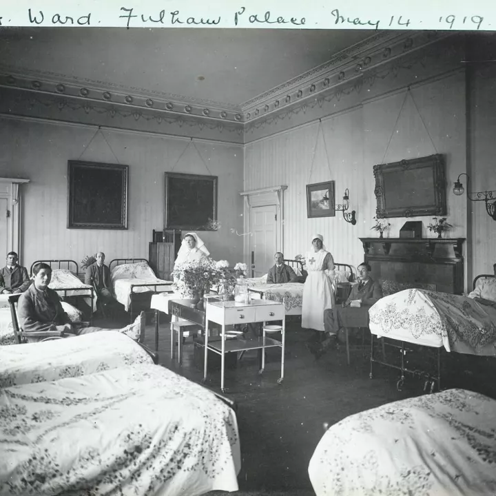 Fulham Palace Hospital