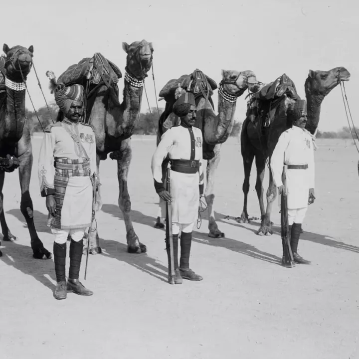 The Imperial Camel Corps