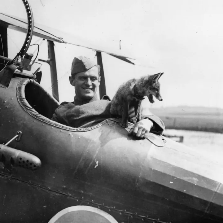 American Pilot with Fox Mascot