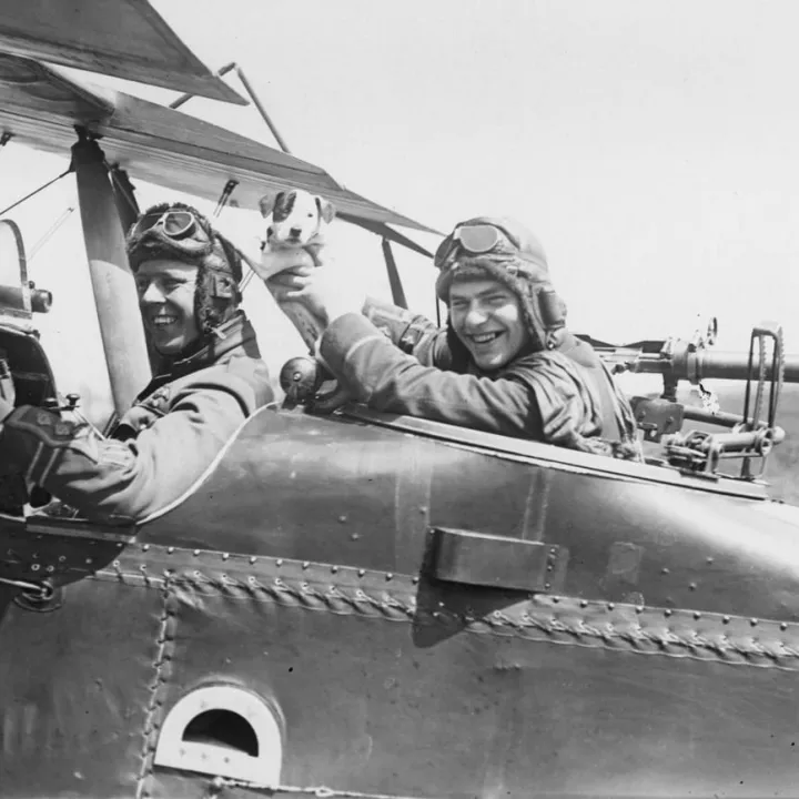 British pilot’s mascot, c.1916