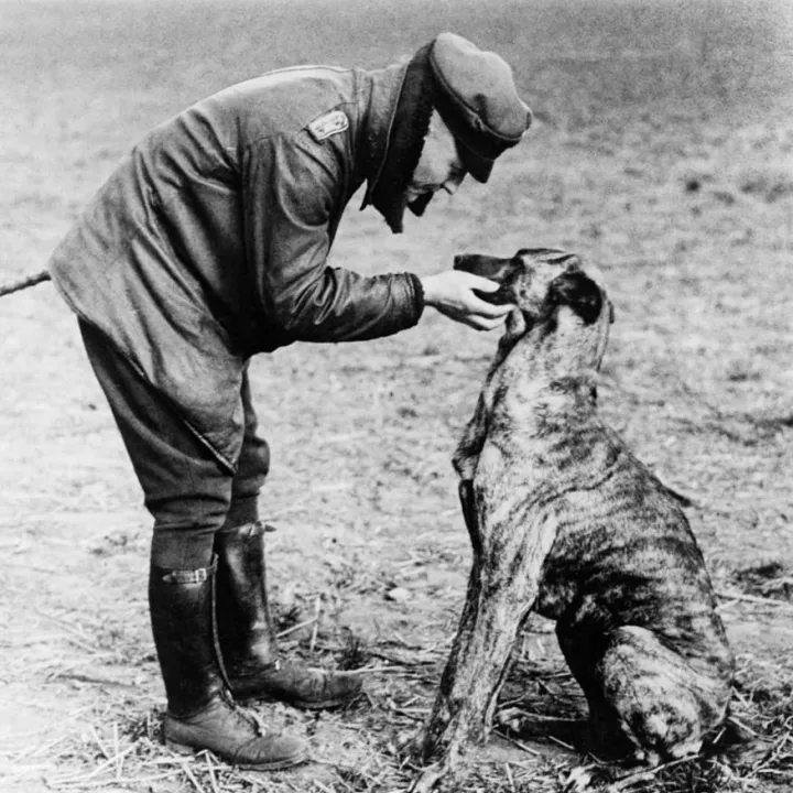 The Red Baron with His Dog, Moritz