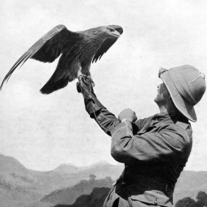 British officer with trained eagle in Salonica, Greece, c.1918