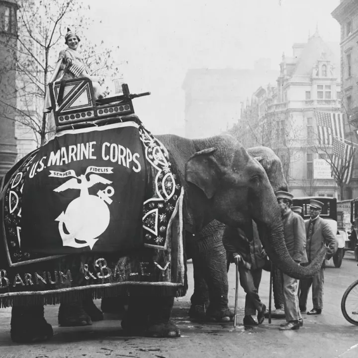 Barnum and Bailey circus elephants used to recruit U.S. Marines, c.1917