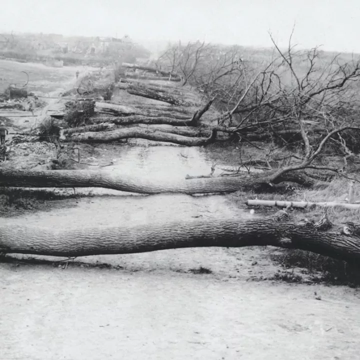 British “tree bridges” near Cambrai, France, November 1917